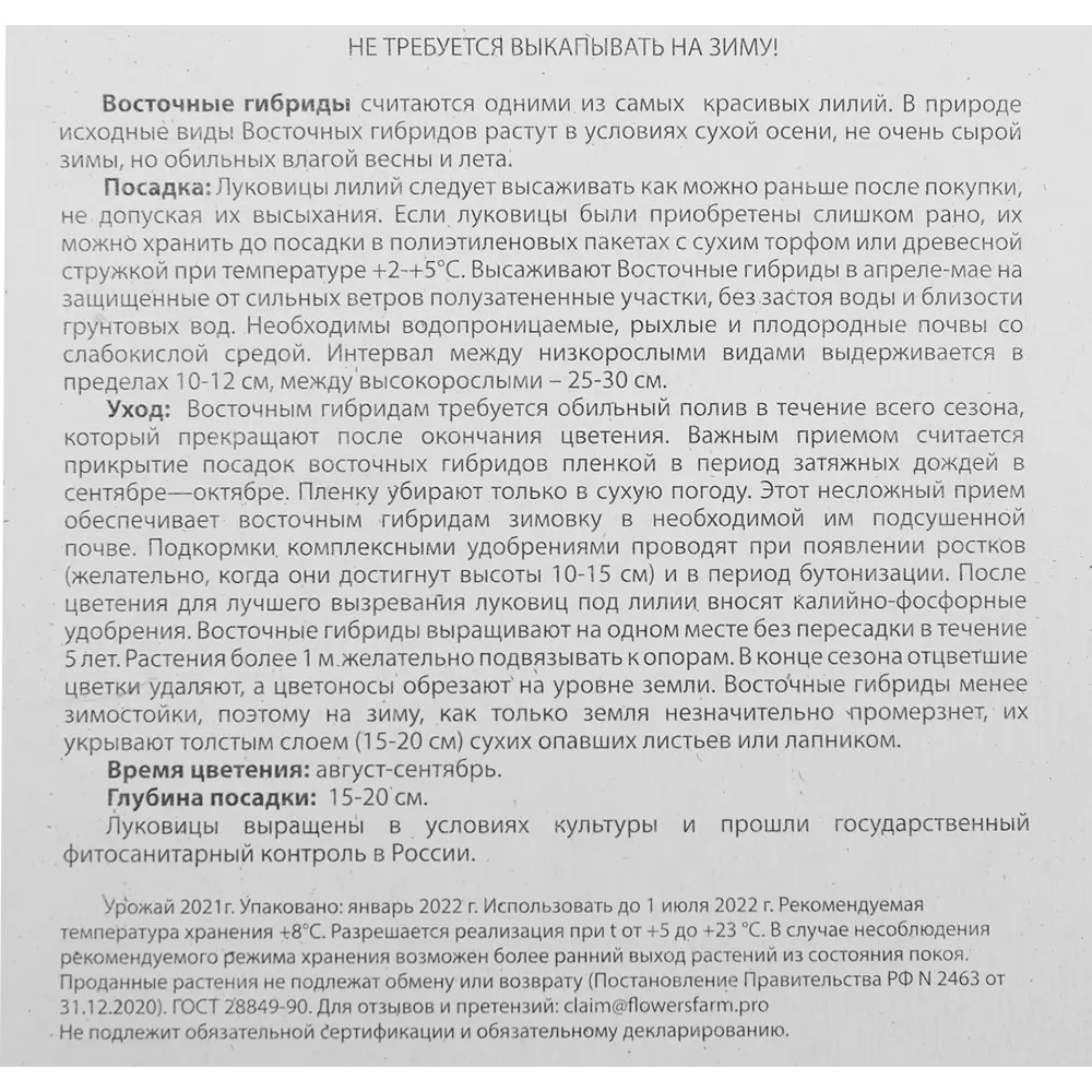 Лилия восточная махровая Твайфорд 3 шт. 83628518 STLM-2112553 BLOOMING LIFE  - Вид №3