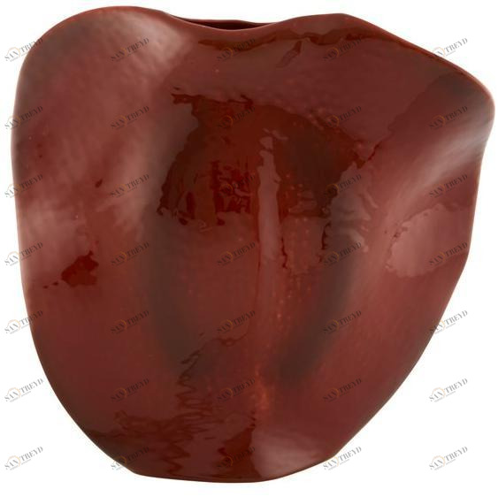 Vista Alegre Терракотовая ваза Amazónia 65026301 Amazonia