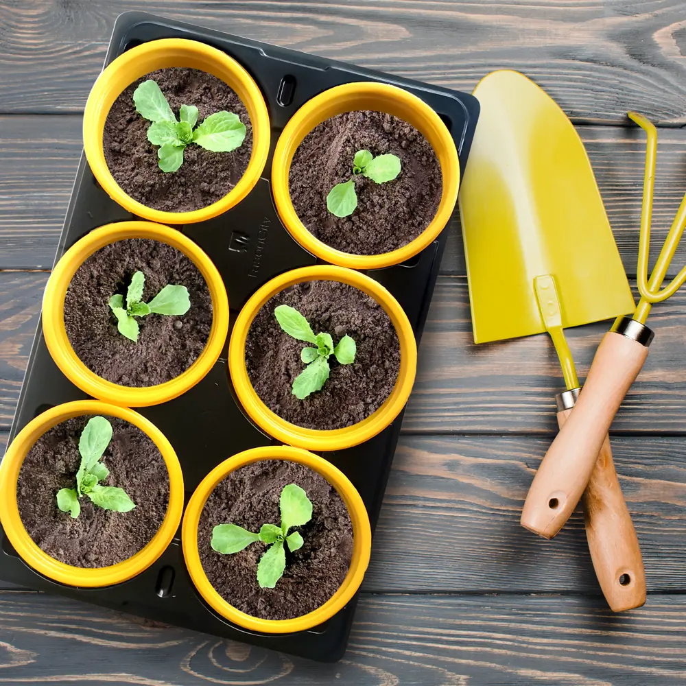 ГАЗОНCITY — набор из 6 горшков для рассады с практичной подставкой 83121550 STLM-1577774 - Вид №3