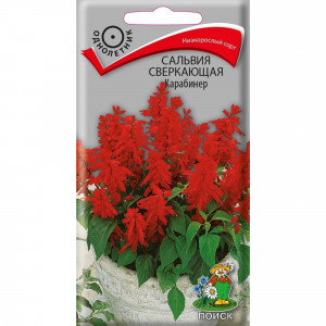 83227388 Семена Сальвия Сверкающая «Карабинер»