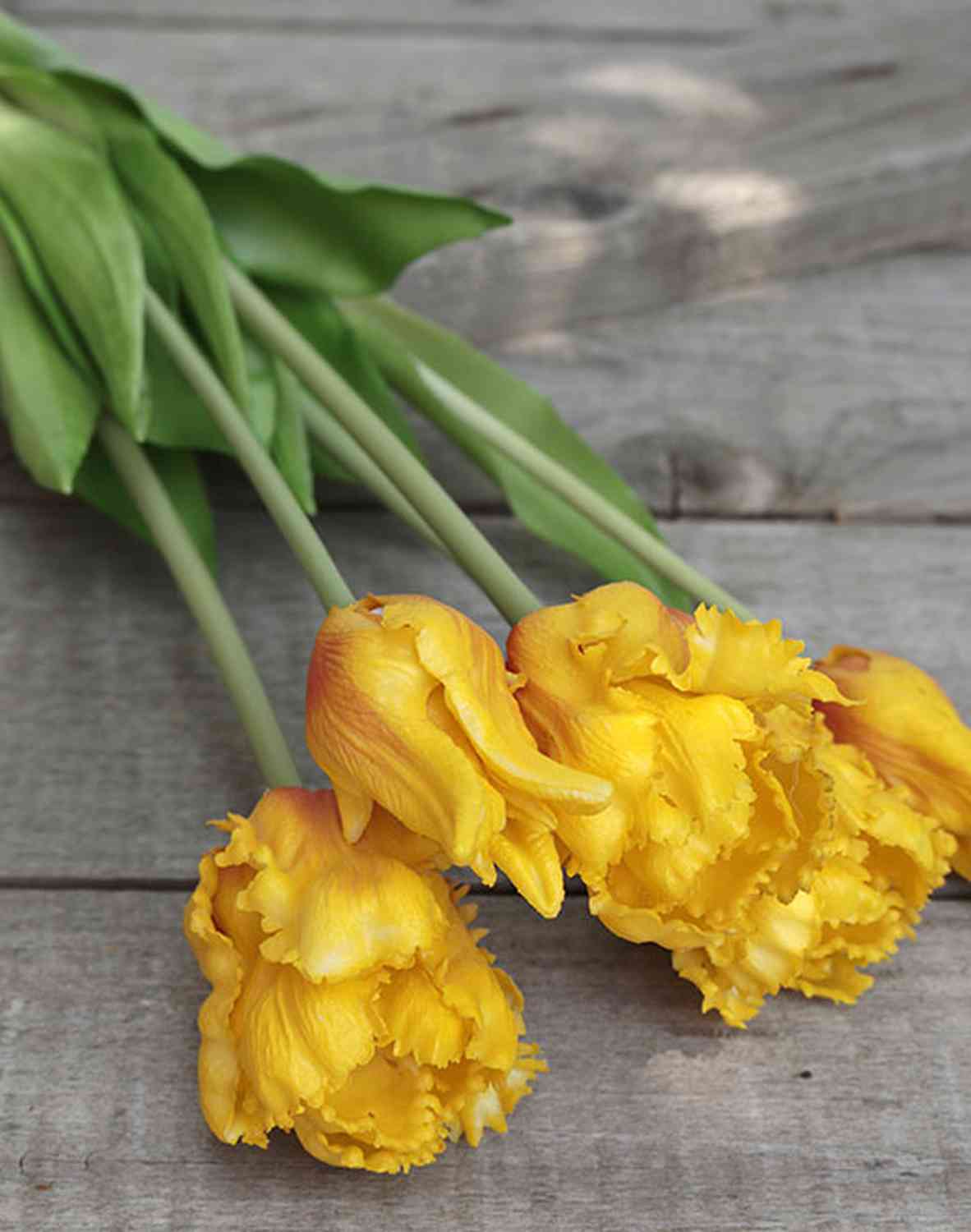 2951 334 a3 Искусственный попугай букет тюльпанов, 5-кратный, 47 см, оранжевый H-andreas  - Вид №2