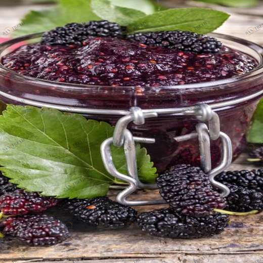 WP01163 Фотообои Verol Фотообои decoline 1х1 м