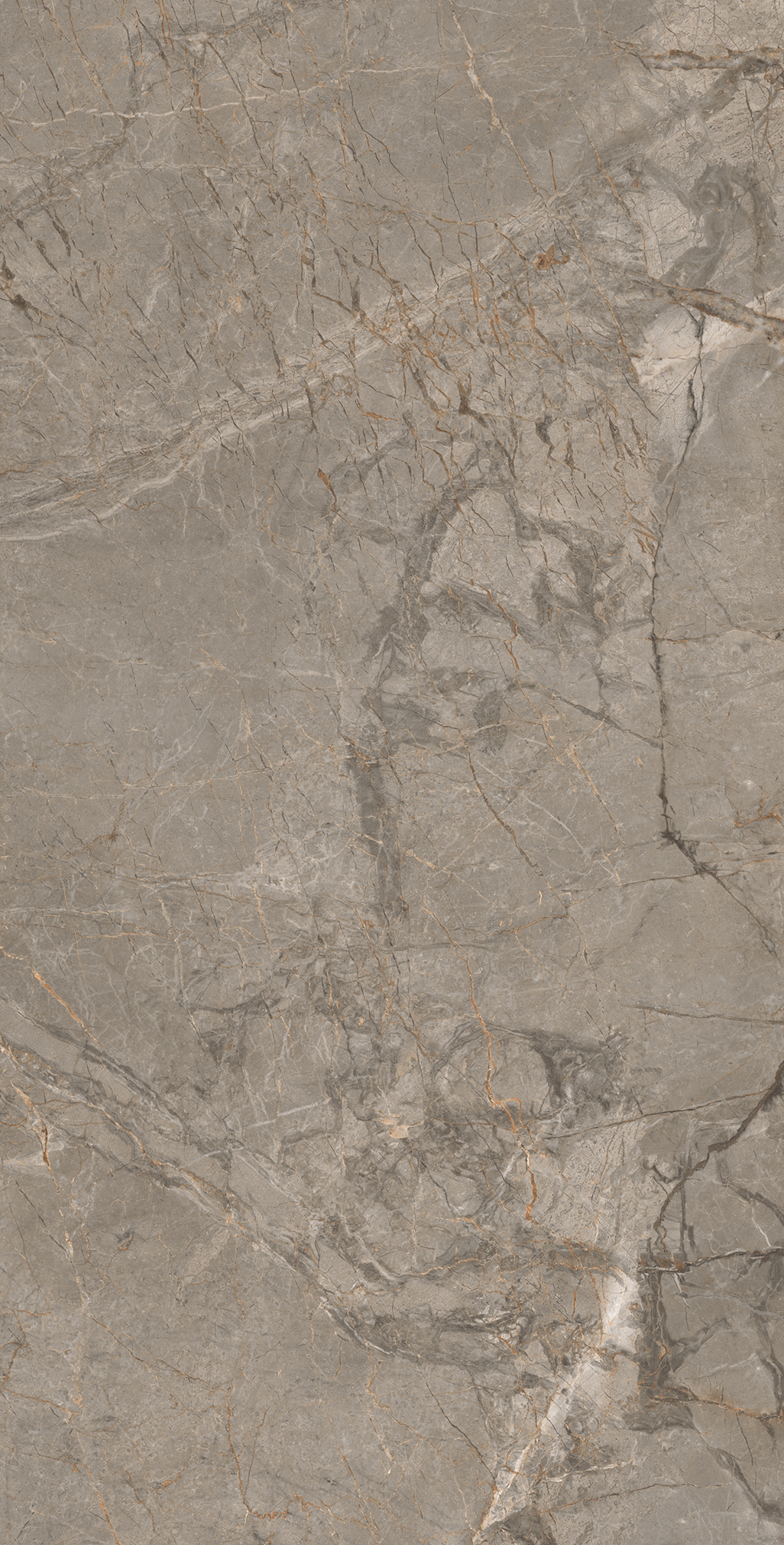 Керамогранит MISTRAL BROWN 60х120 Arcadia Ceramica CR4033-A - Вид №4