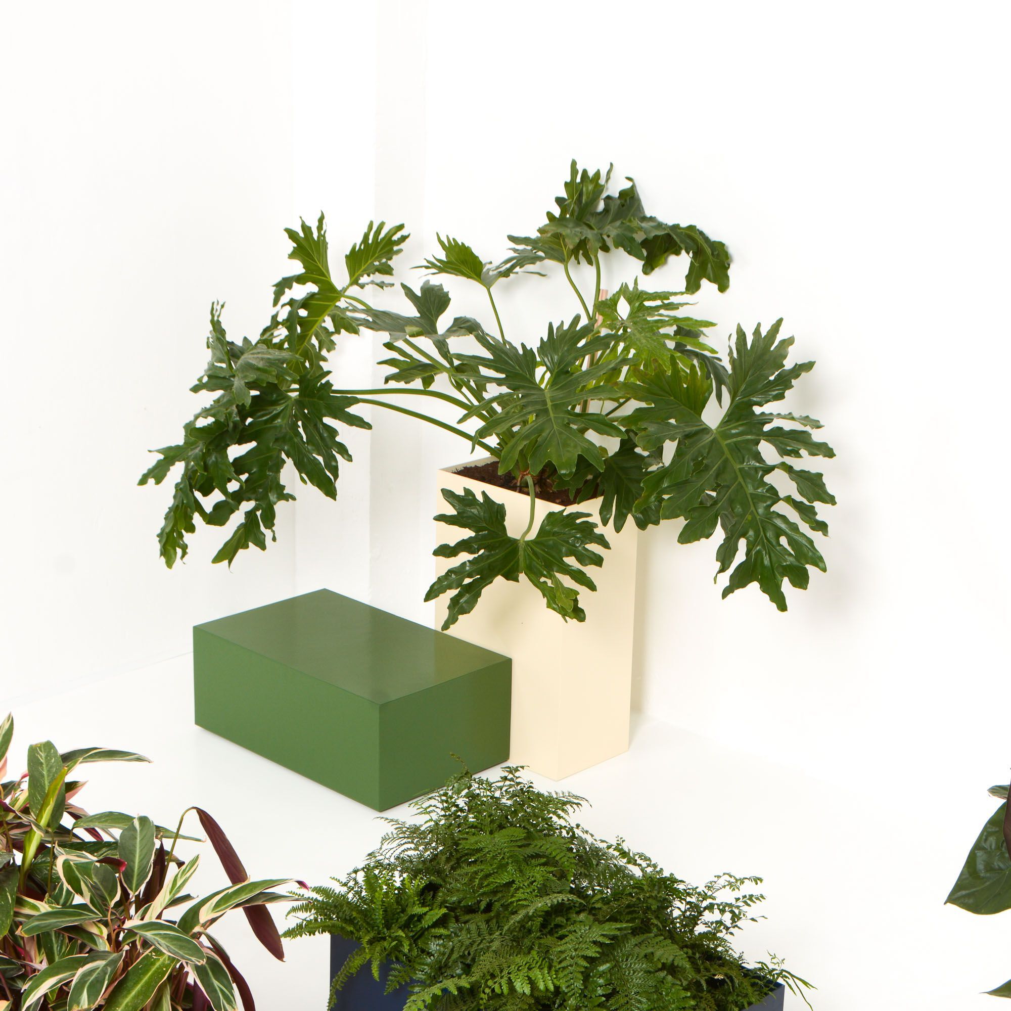 Прямоугольный пуф с пенопластовым покрытием SIXINCH CUSHIONS FREESTANDING ARCH-00043182 - Вид №18