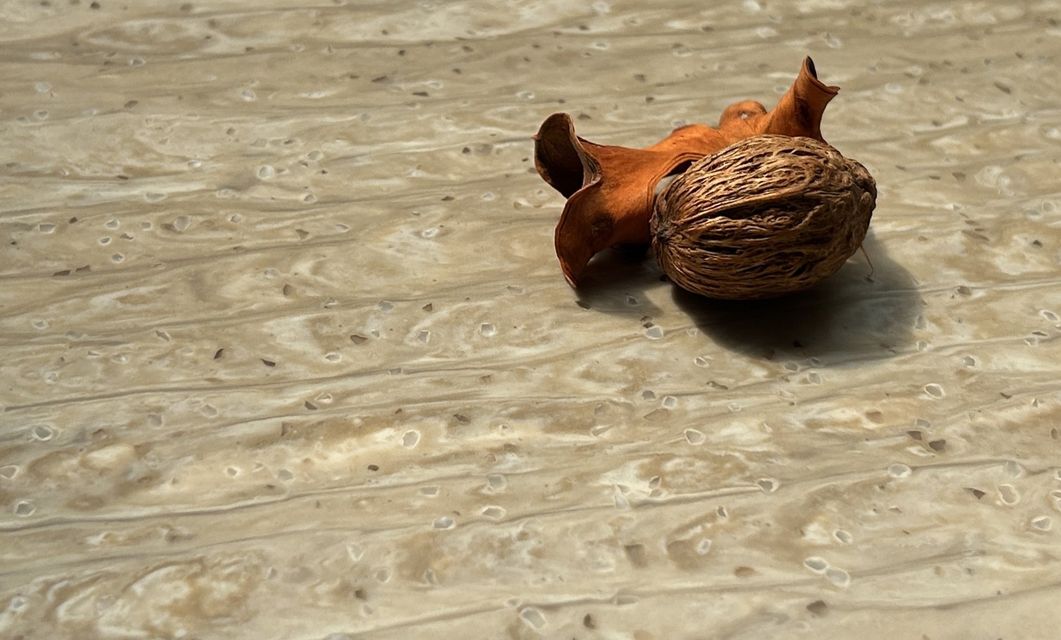 Столешницы для кухни - Сиракуза LIGRON LIST186 1815 - Вид №2