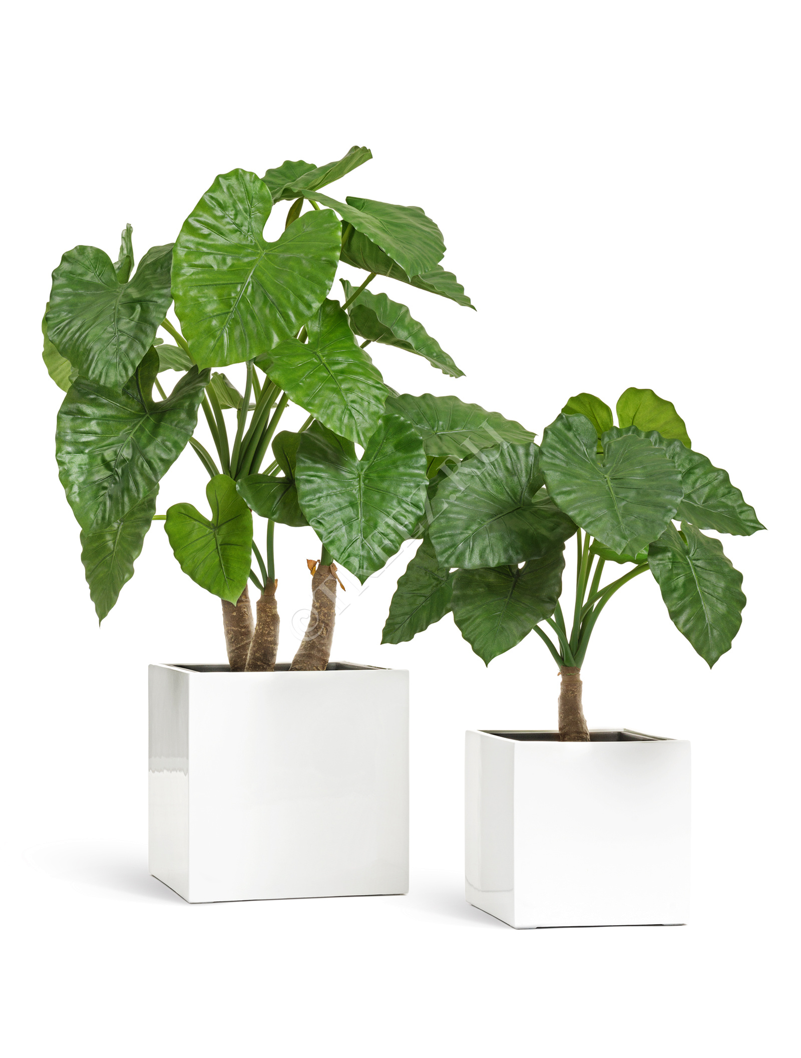 41.3320-05-033-WH-30 Кашпо  Effectory - серия Gloss - Куб - Белый глянцевый лак Цветочная коллекция  - Вид №5