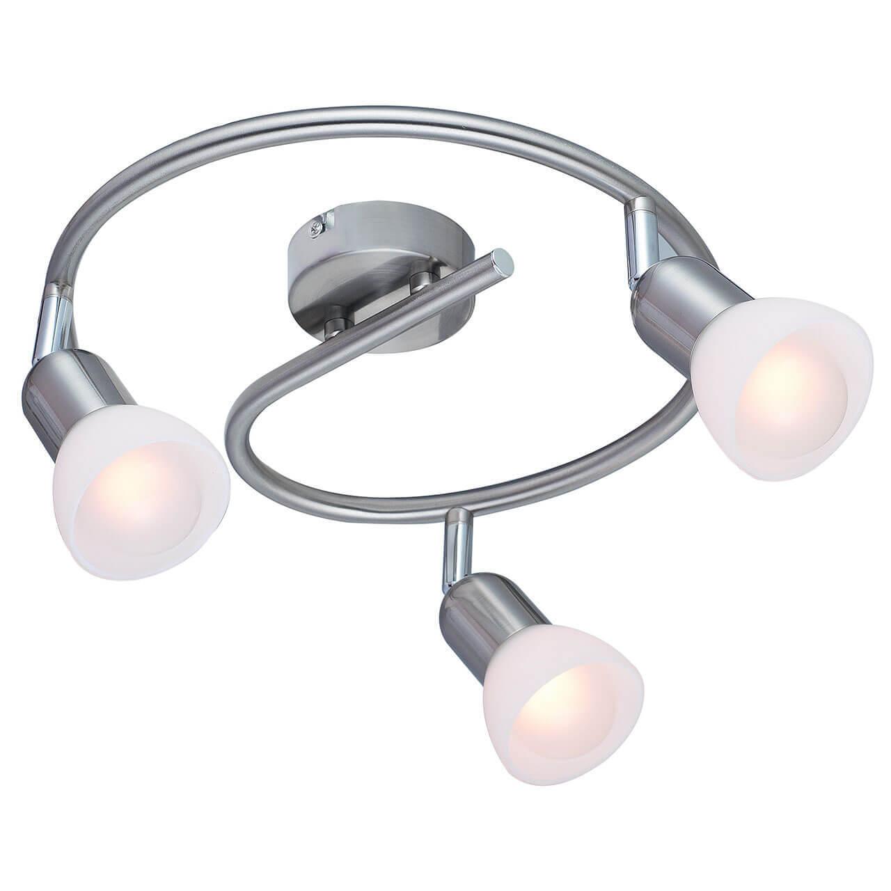 Спот потолочный белый с 3 плафонами Arte Lamp A3115PL-3SS ARTE LAMP A3115 00-3924043 Белый  - Вид №1