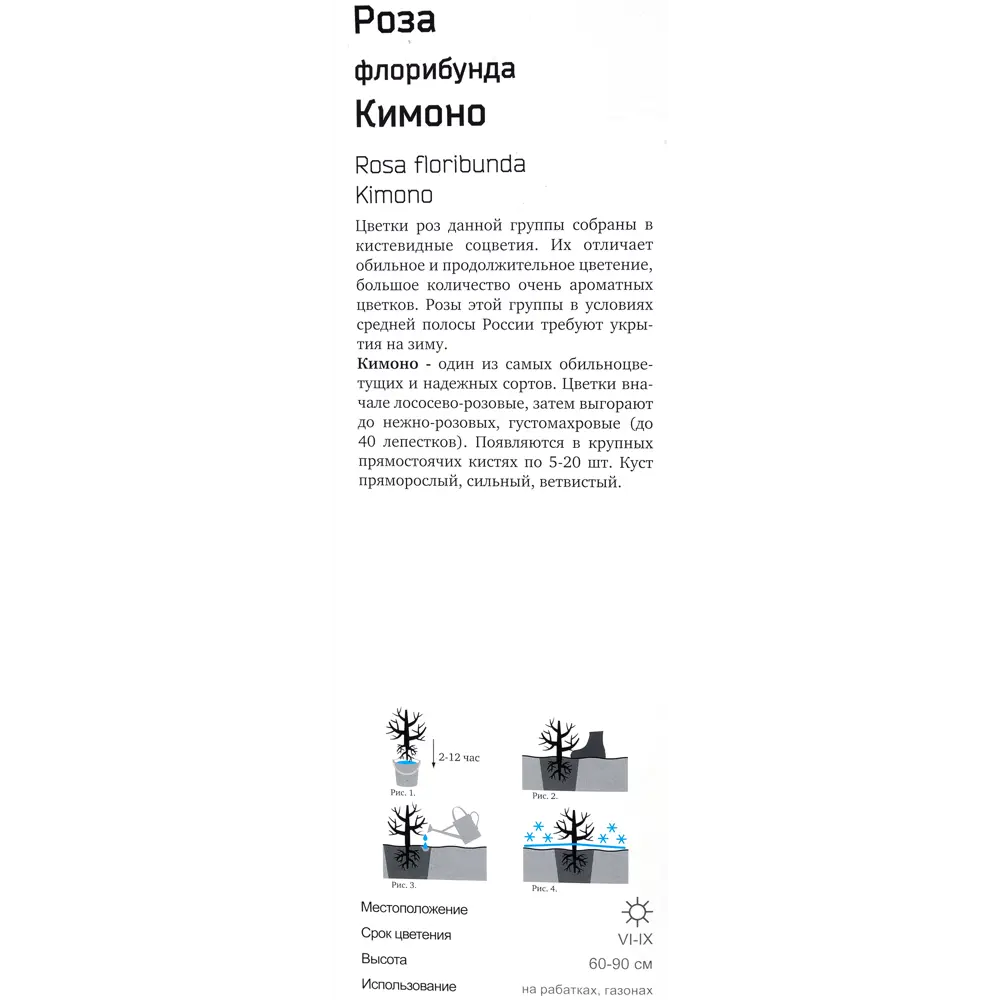 Роза флорибунда «Кимоно» в тубе 82142841 STLM-2068557 Santreyd  - Вид №2
