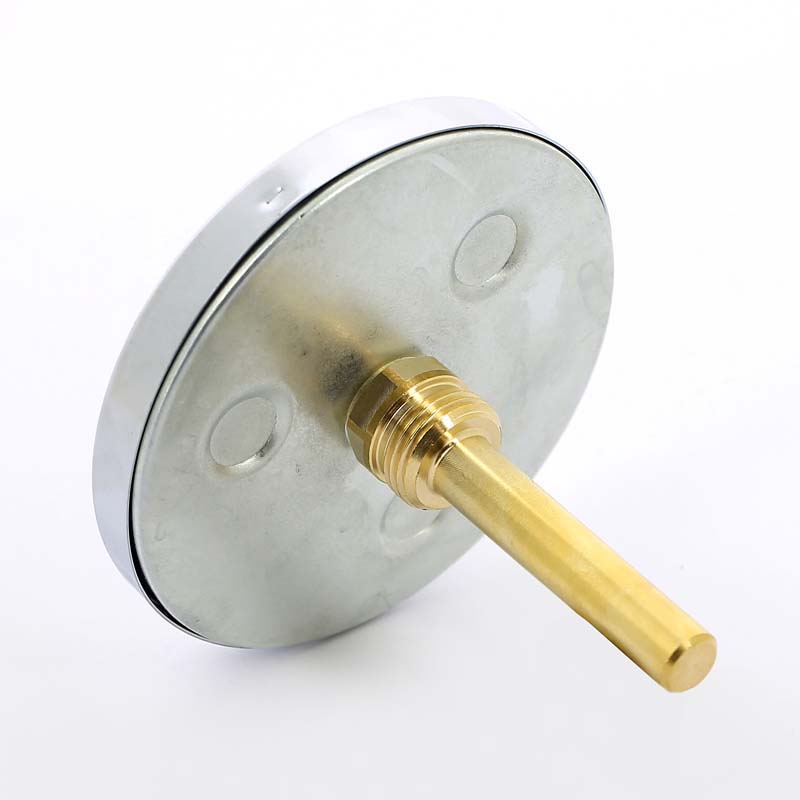 Термометр биметаллический F+R801 100мм с погружной гильзой WATTS Ind 120 град.C гильза 75мм 10006071 - Вид №2