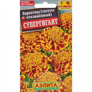 13075781 Семена цветов Бархатцы отклонённые Супергигант