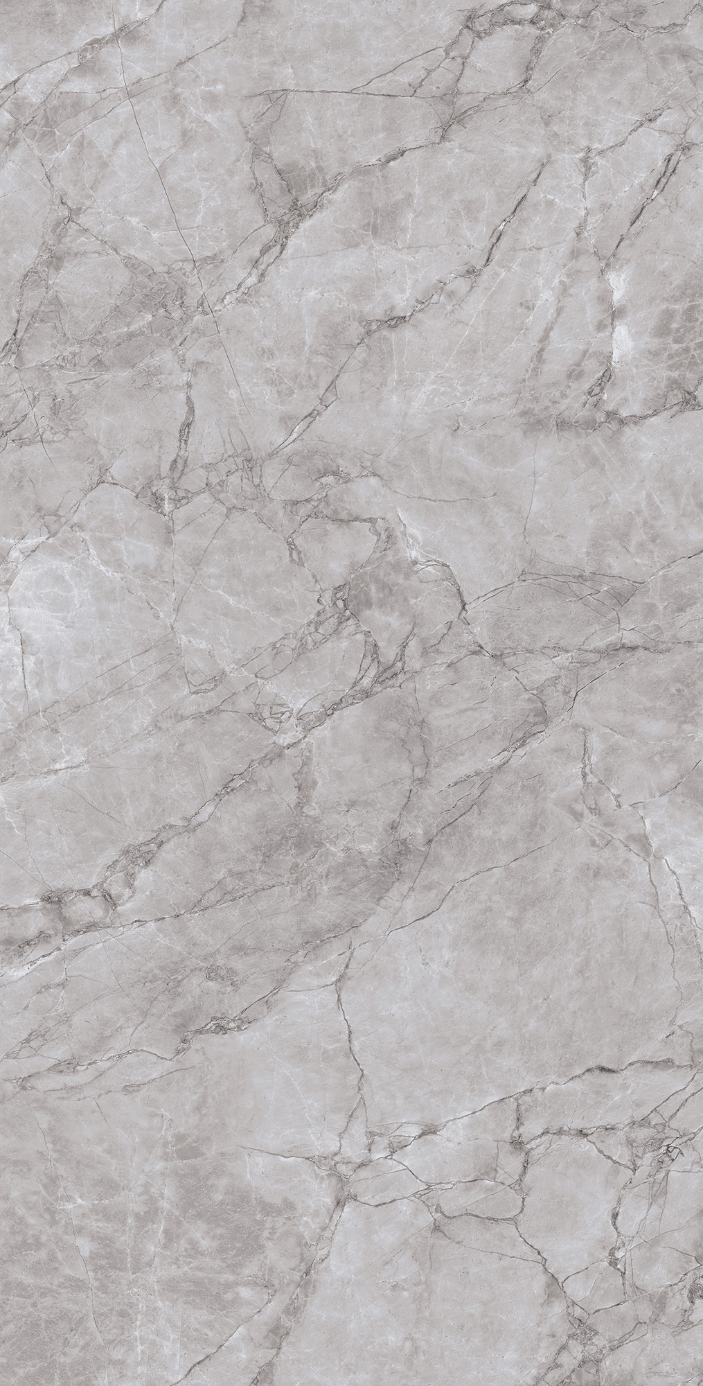 ARCTIC GREY LAPPATO ARCADIA CERAMICA CL4005-A - Вид №4