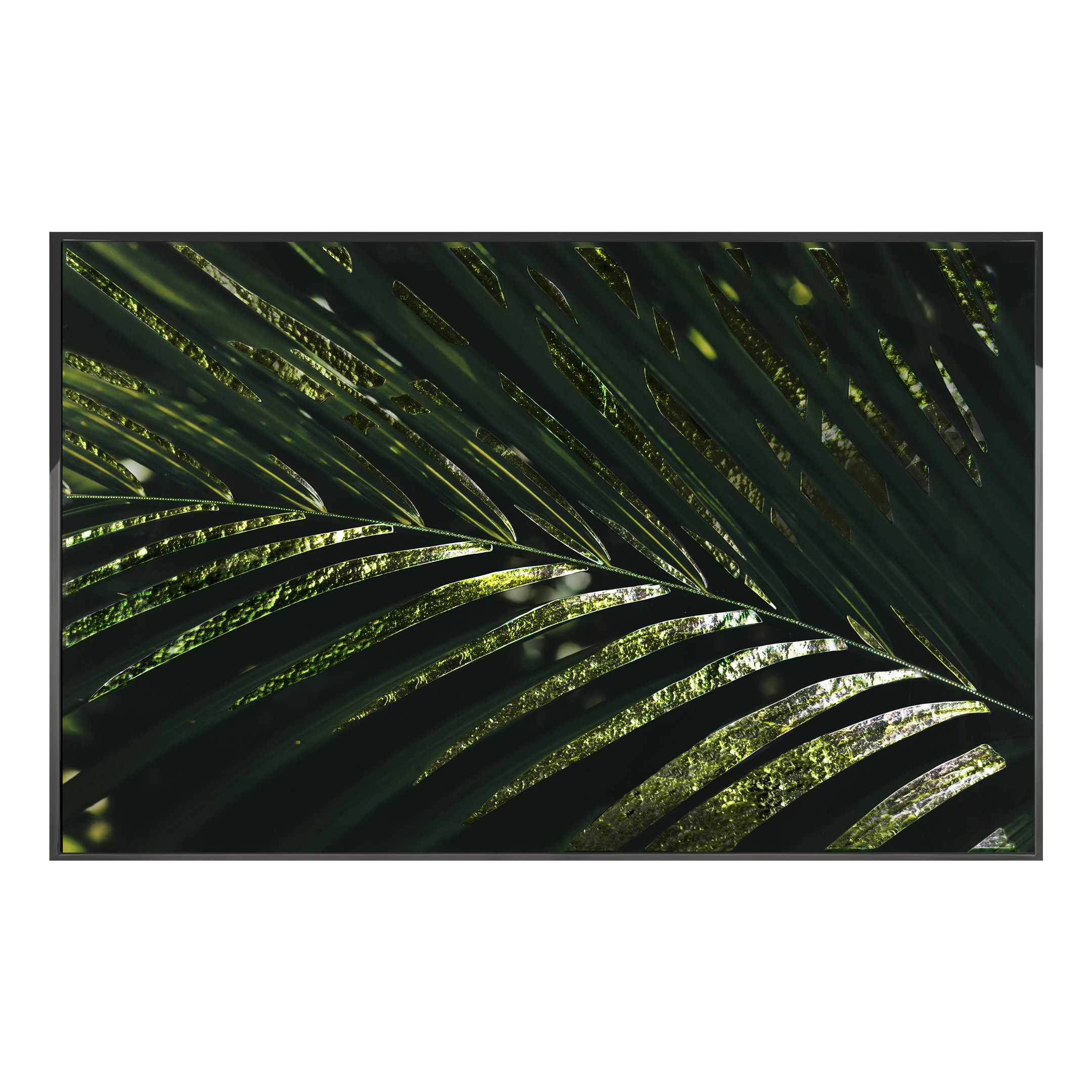 Palma Areca Произведение искусства Visionnaire  - Вид №1