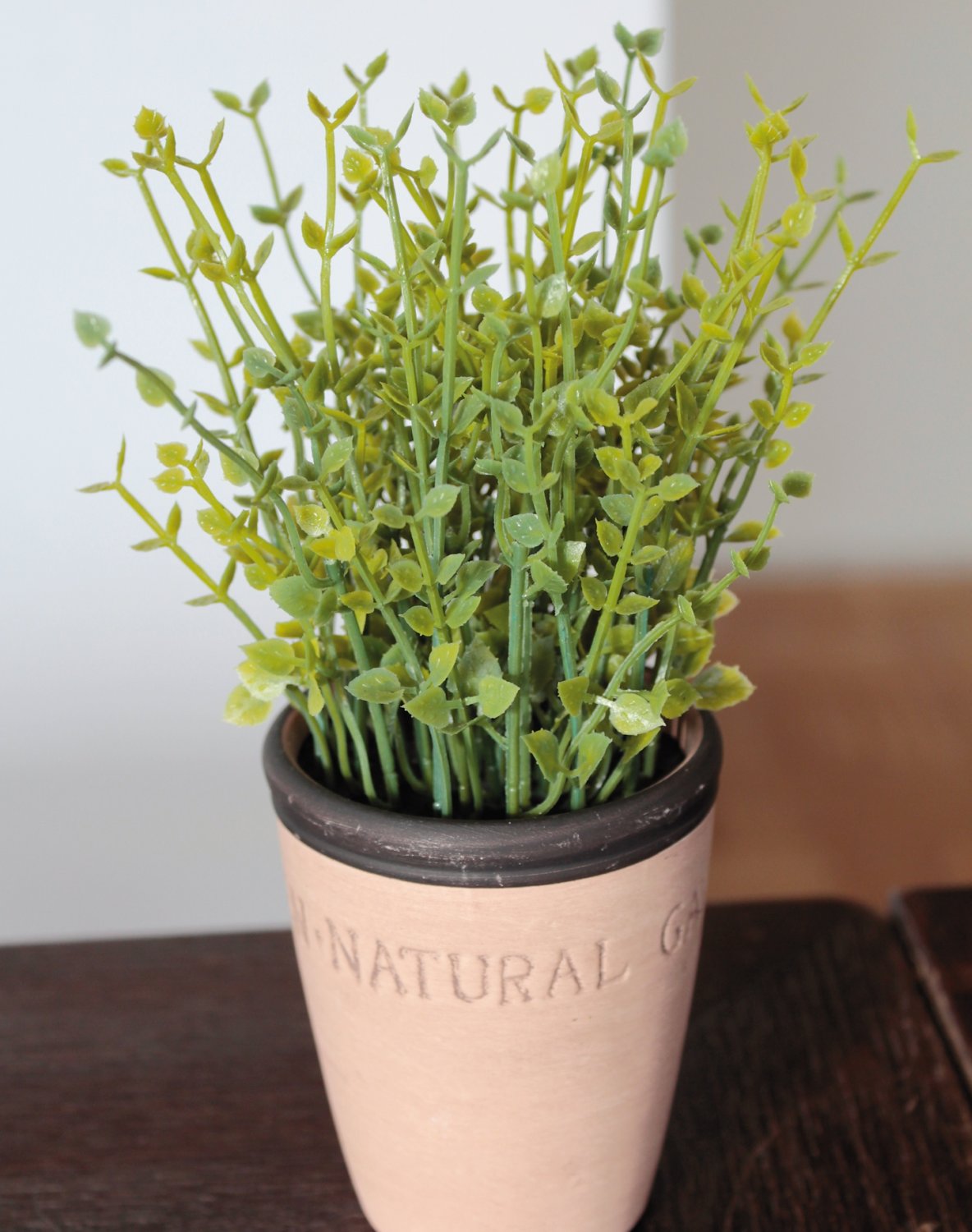 6122 883 a2 Искусственный тимьян в глиняном горшочке, синтетический материал, 20 см, зеленый H-andreas  - Вид №2