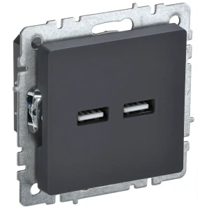 Розетка USB встраиваемая IEK Brite РЮ10-1-БрГ цвет графит 87761590 STLM-2057569