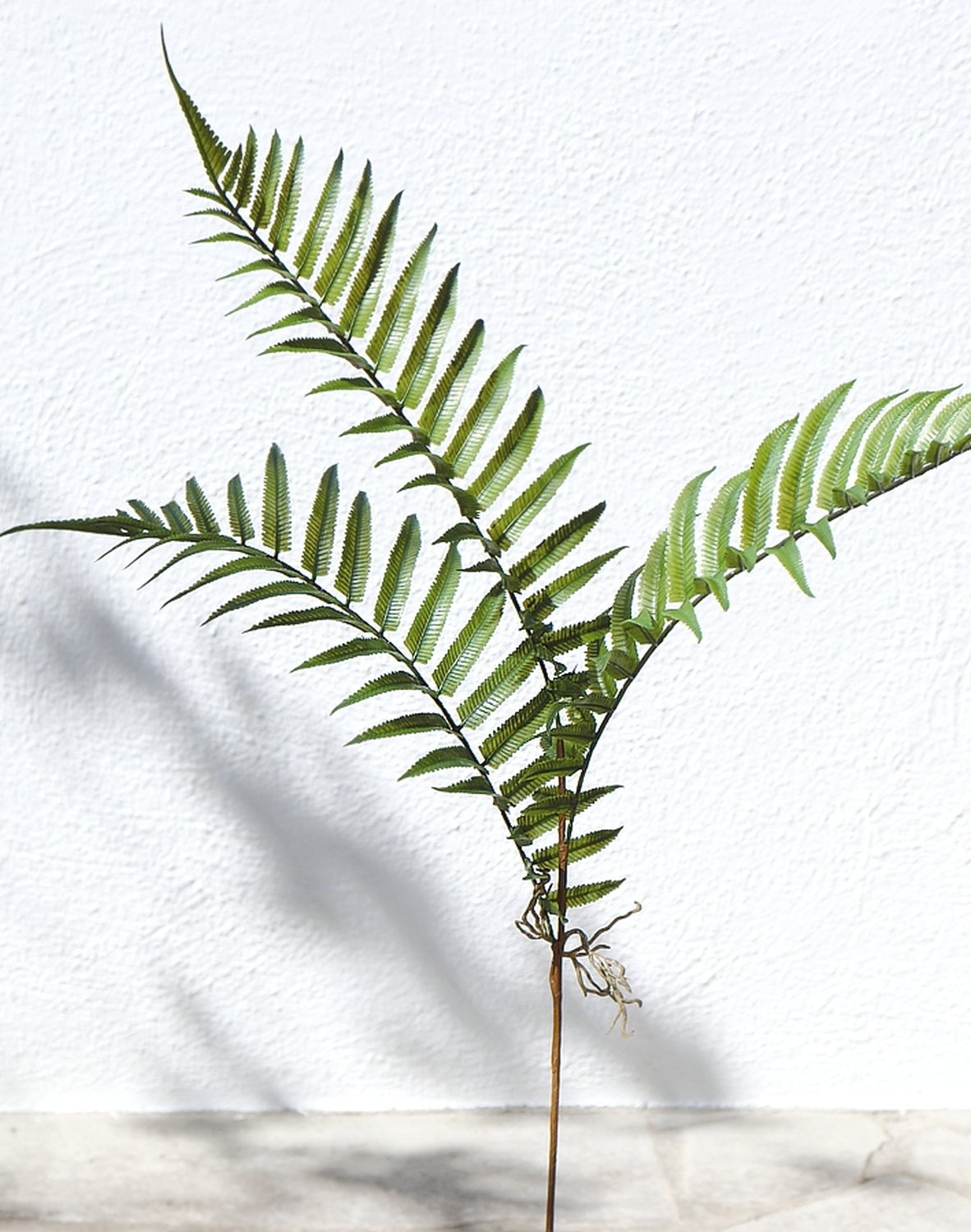 4916 883 a3 Стебель искусственного папоротника, 74 см, зеленый H-andreas  - Вид №4