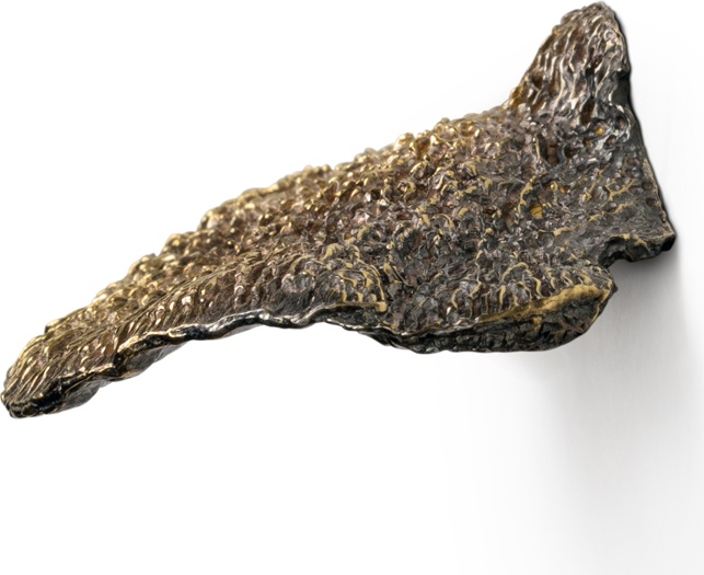 EA1032 Fungi PULLCAST Earth Collection  - Вид №2