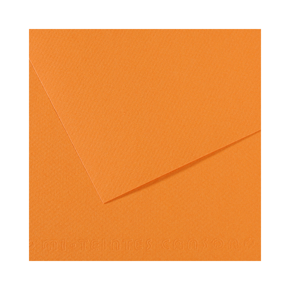 200321104 Бумага для пастели Mi-Teintes 160 г/м2 50 х 65 см лист №384 буйволиная кожа Canson 