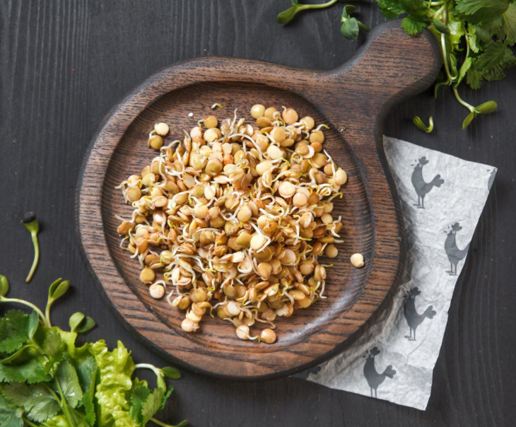 9713 Проростки чечевицы зеленой Вкусляндия  - Вид №1