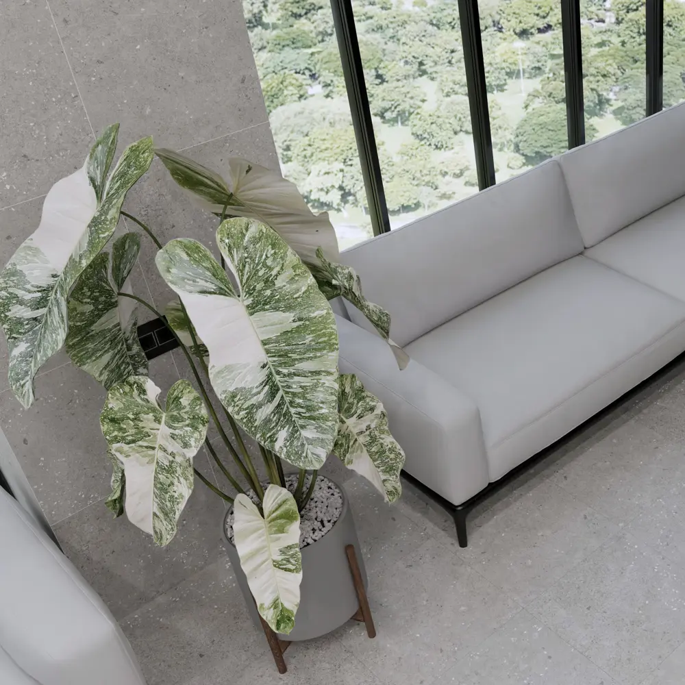 Керамогранит Beryoza Ceramika Elements Gp Grey 50x50 см 1.5 м² цвет серый 84407251 STLM-2130538 BERYOZA CERAMICA