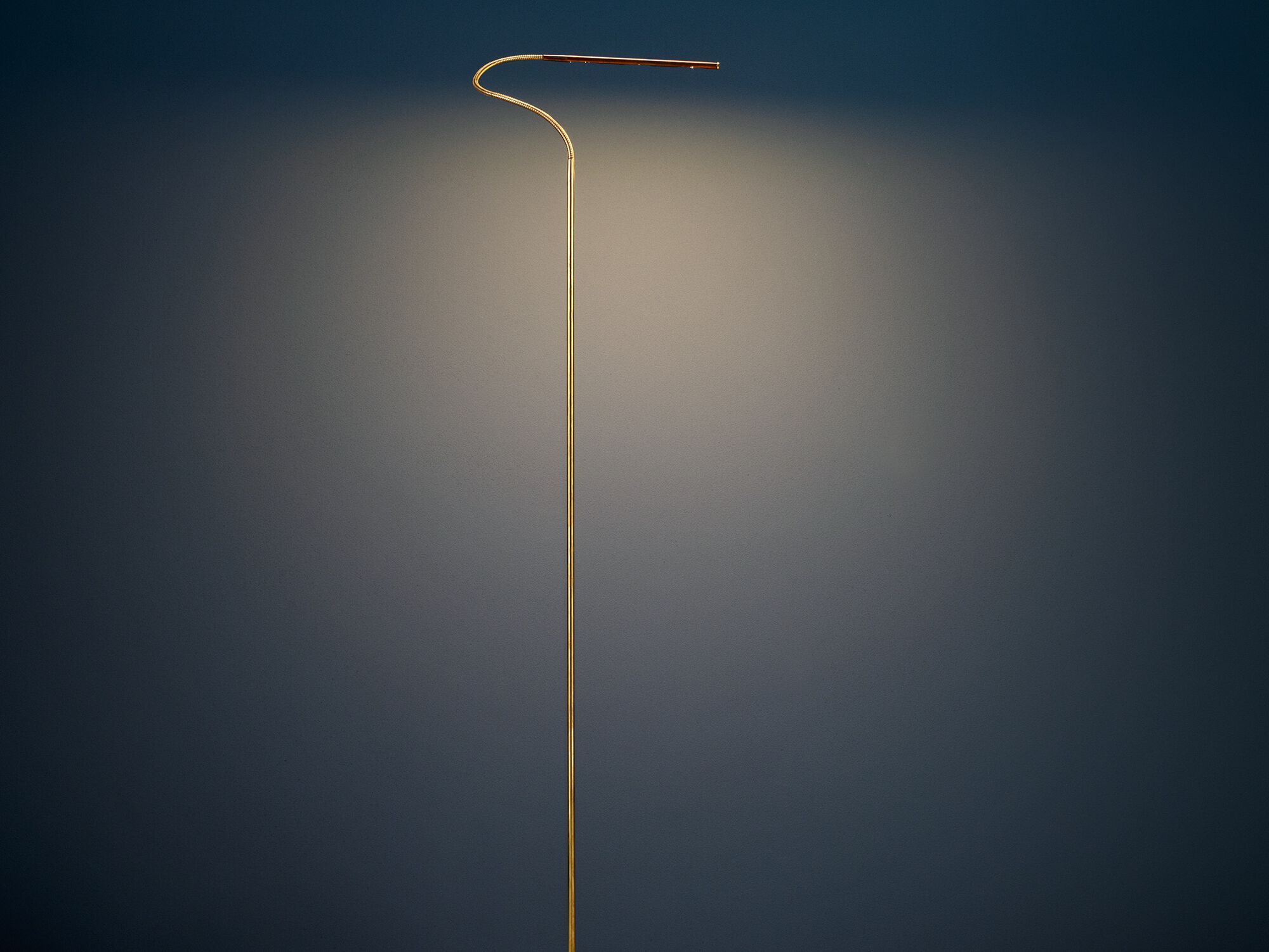 Латунь регулируемый светодиодный торшер Catellani & Smith вечные предметы ARCH-00117119