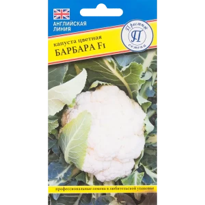 Семена Капуста цветная «Барбара» F1