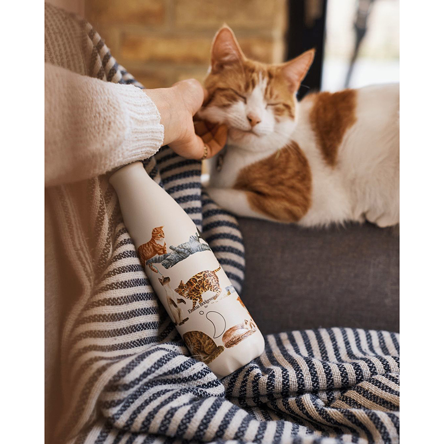 B500EBCAT Термос emma bridgewater, cats, 500 мл Chilly's Bottles  - Вид №1