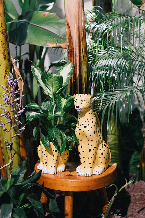 Лейка желто-черная керамическая Urban Jungle Cheetah DOIY  00-3871331 Желтый;черный  - Вид №1
