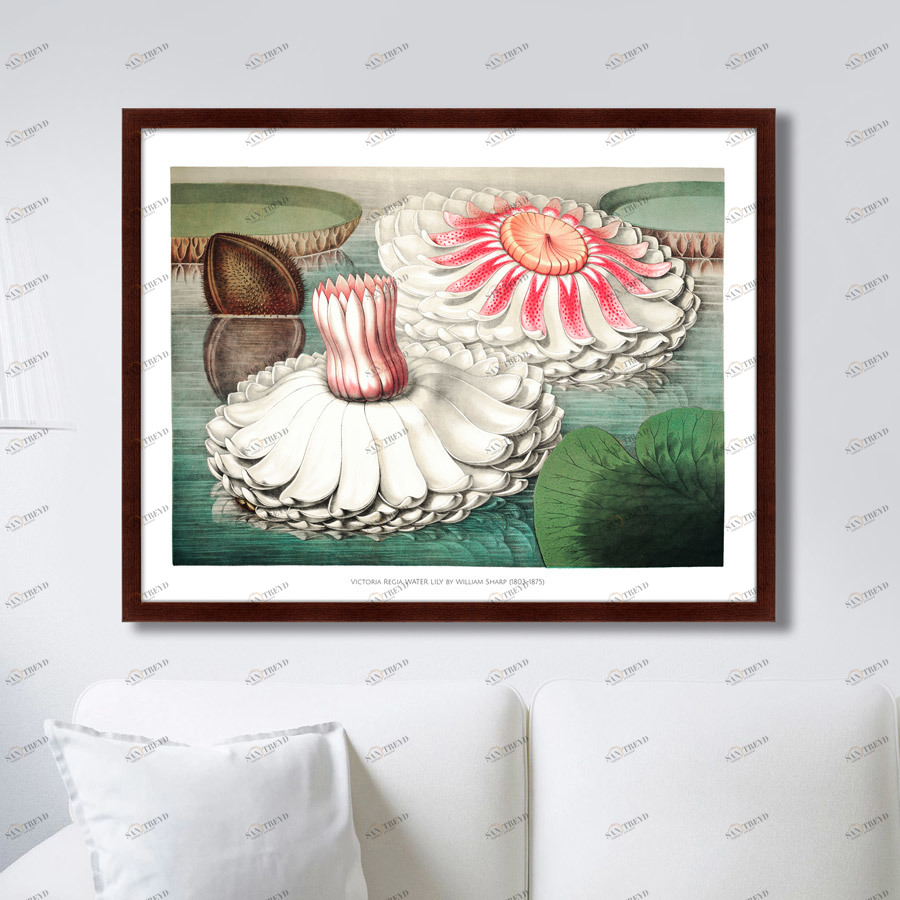 Картина в раме 78,5х100 см Water lily during bloom, 1870г. КАРТИНЫ В КВАРТИРУ  264208 Зеленый;коричневый;розовый;разноцветный 