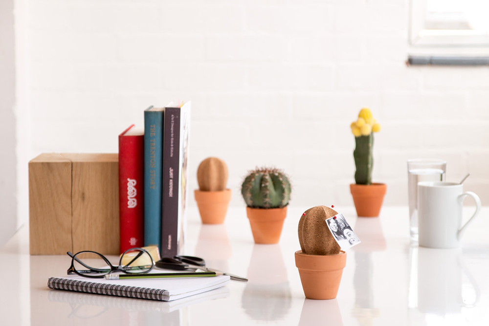 SK CORKCACTUS1 Настольный органайзер cork cactus Suck UK  - Вид №6