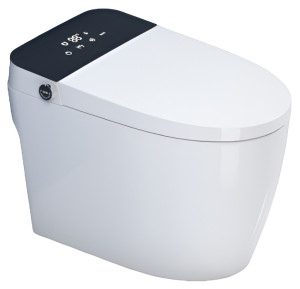 Умные унитазы SL-5034 SANTILINE