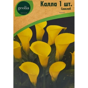 Калла Geolia Санклаб 86408671 STLM-2027743