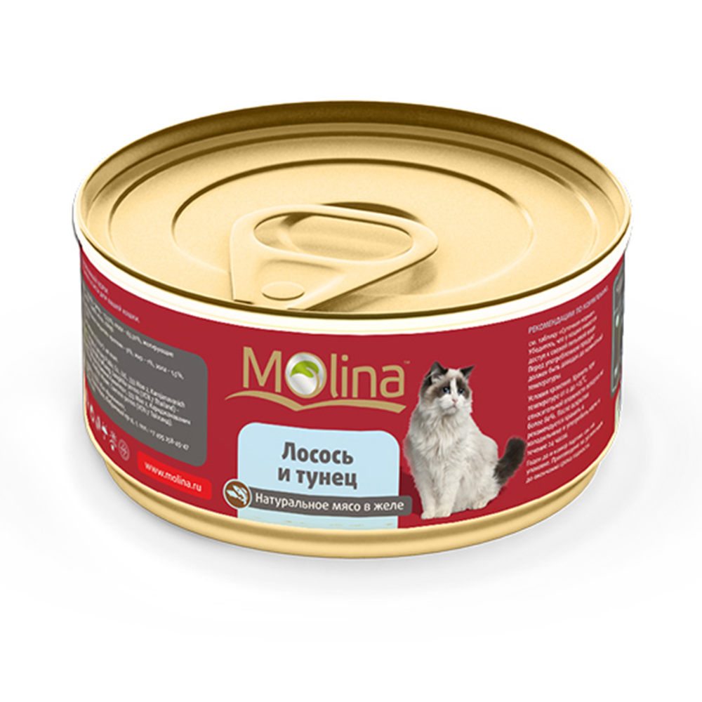 ПР0019434 Корм для кошек Лосось с тунцом в желе банка 80г Molina 