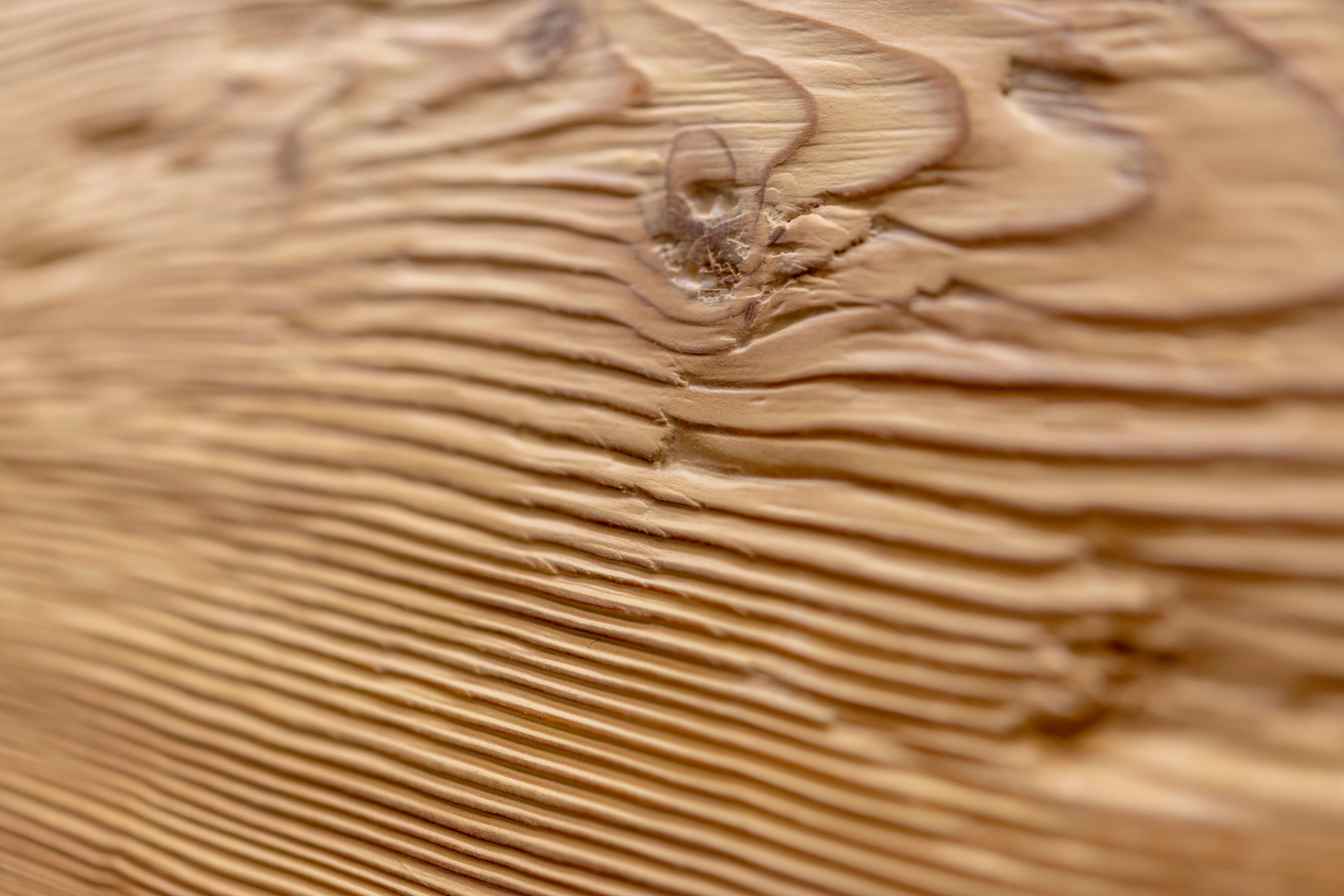 Яркая декоративная панель из лиственницы Mobart Ben Woodframe ARCH-00006578