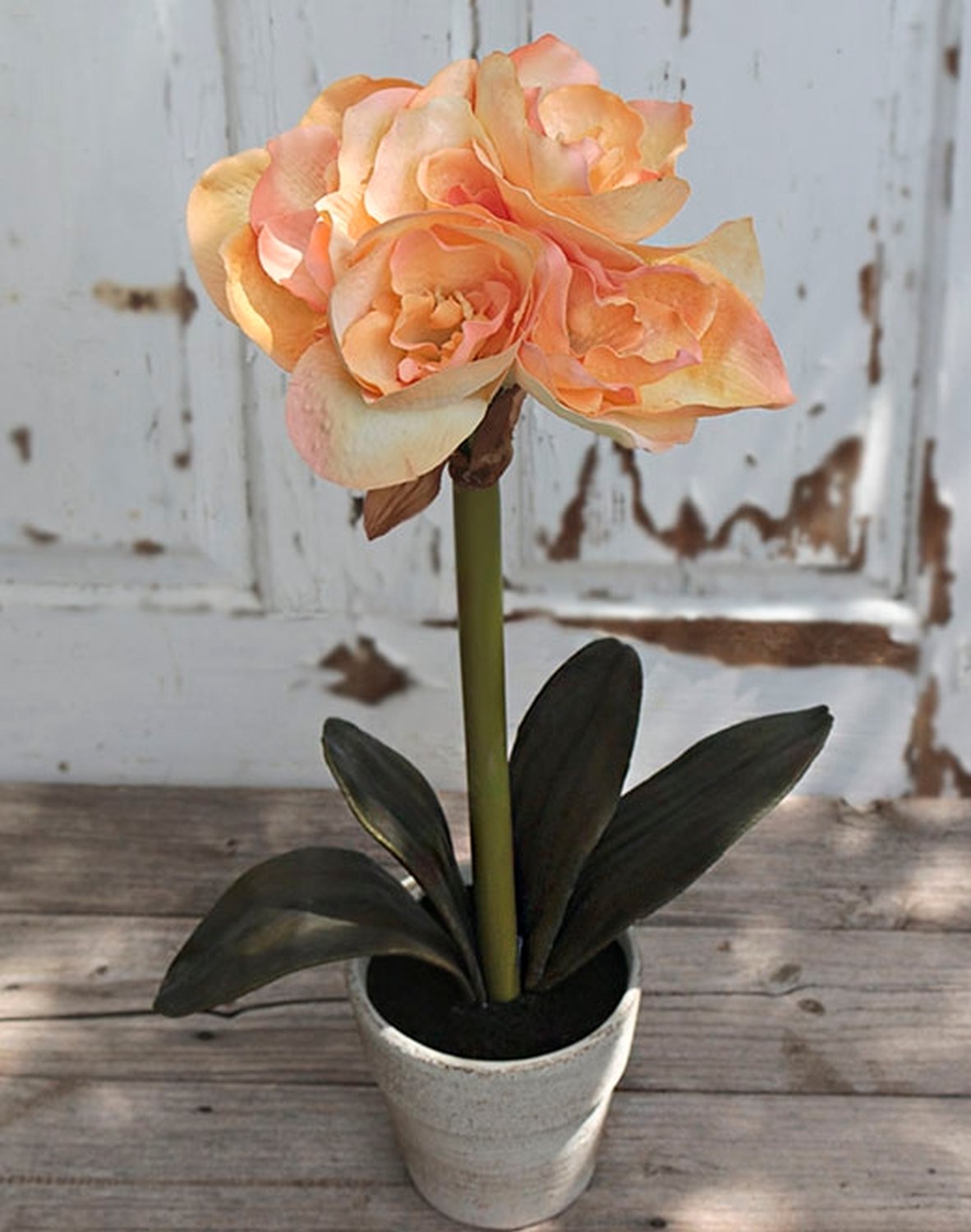 5319 306 a2 Искусственный амариллис, горшок, 48 см, желто-оранжевый H-andreas  - Вид №2