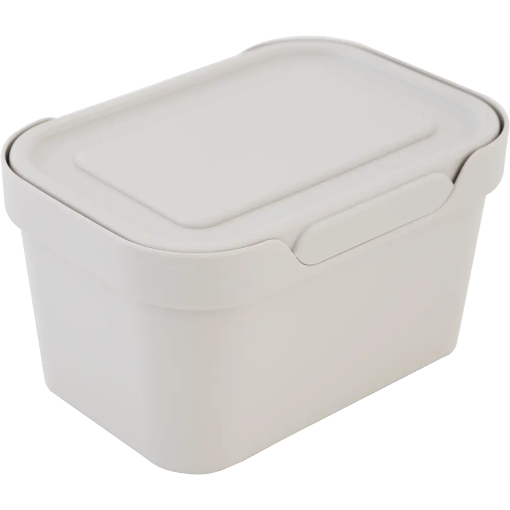 Ящик Luxe с крышкой 19x13x11 см 1.9 л пластик цвет бежевый БЫТПЛАСТ STLM-2041235
