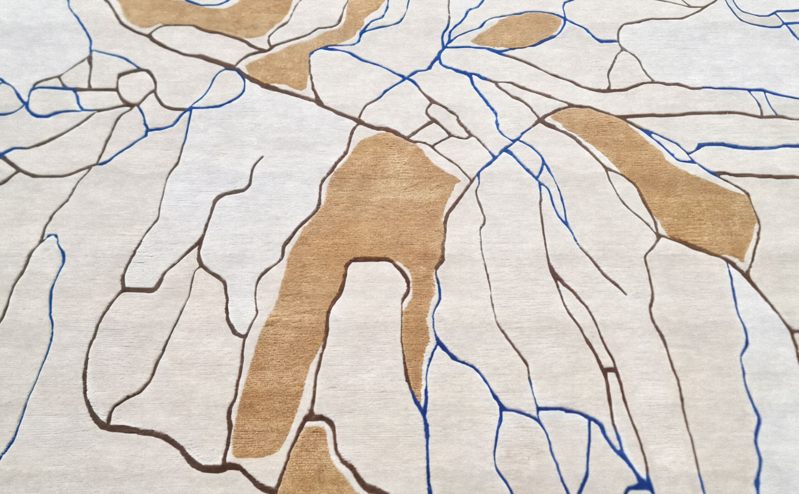 Прямоугольный ковер ручной работы Tapis Rouge Fabulous ARCH-00109866 - Вид №3