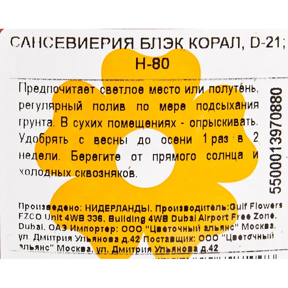Сансевиерия "Блэк Корал" 21x80 см 82850378 STLM-2185676 Santreyd  - Вид №2