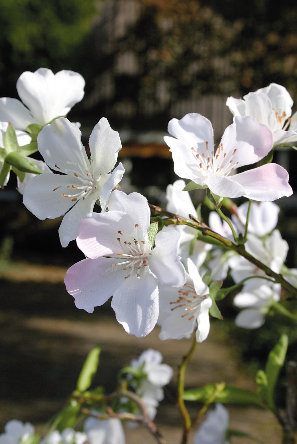 5501 778 a3 Пластиковая груша в горшке, 160 см, бежево-белая H-andreas  - Вид №3