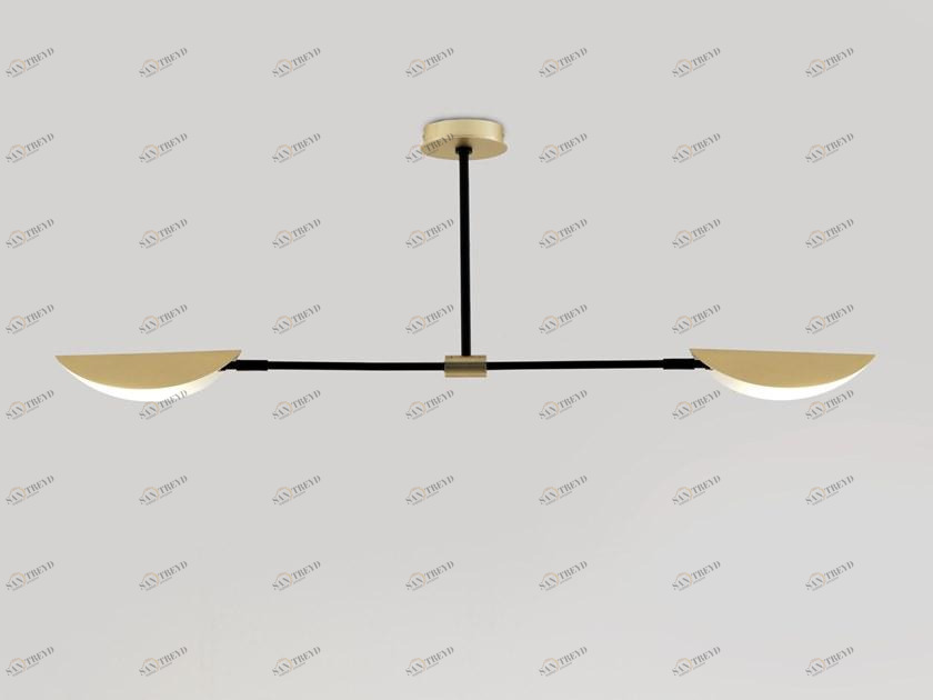 Aromas del Campo Потолочный светильник из металла Ficus C1243