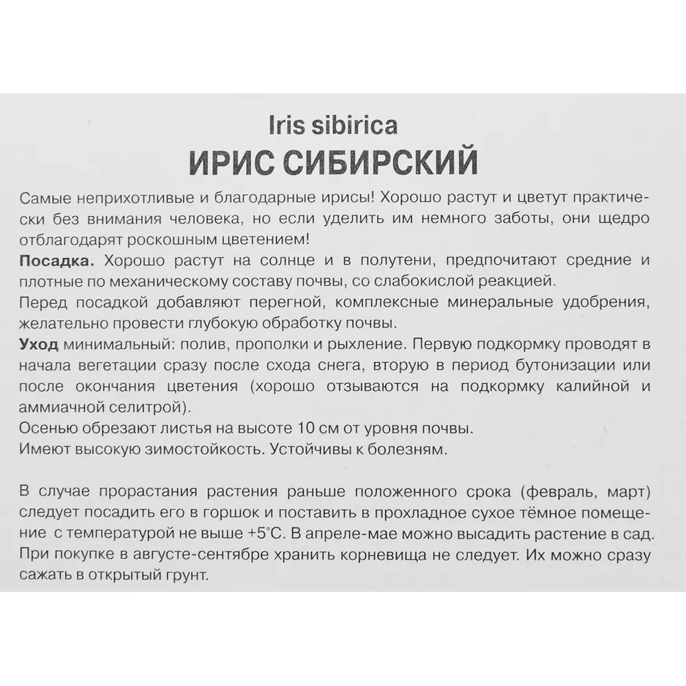 Ирис сибирский Конкорд Краш ПОИСК STLM-2091095 - Вид №2