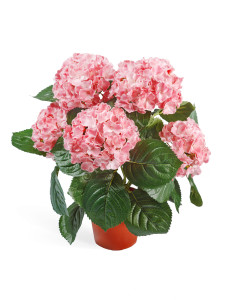 20.6250PK Гортензия куст розовый в горшке Цветочная коллекция