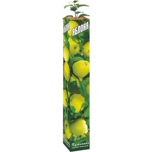 Яблоня 9x60 см 83539255 STLM-2075384