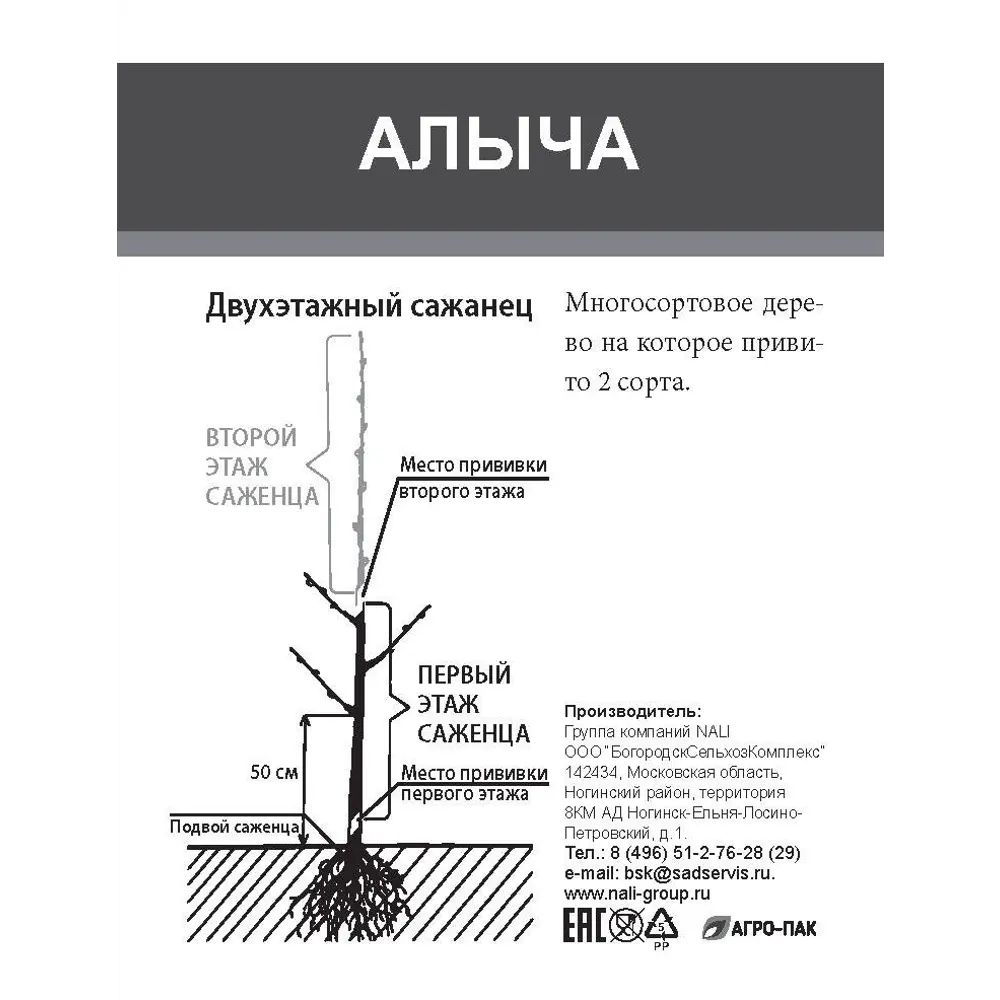 Слива двухъярусное дерево 2 сорта ø20 h180 см 85670471 STLM-2046670 Santreyd  - Вид №1