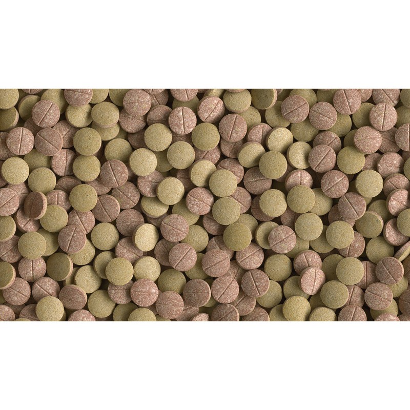 ПР0019965 Корм для рыб Tablets TabiMin XL для всех видов донных рыб в виде крупных двухцветных таблеток 133 таб. TETRA  - Вид №3