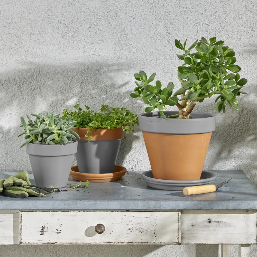 Аэрозольная эмаль Luxens темно-серый глянец для интерьера и экстерьера 83237388 STLM-0039746 - Вид №5