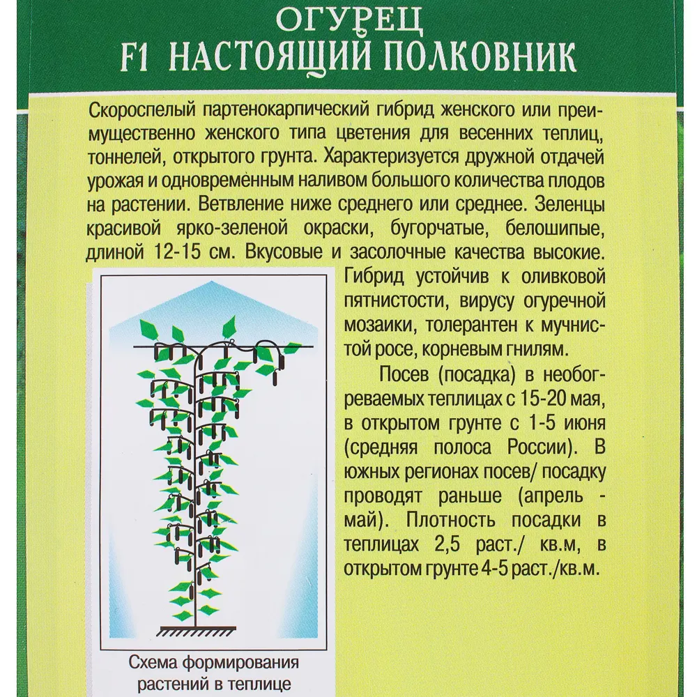 Семена Огурец «Настоящий полковник» F1 81932521 STLM-2193436 МАНУЛ  - Вид №2