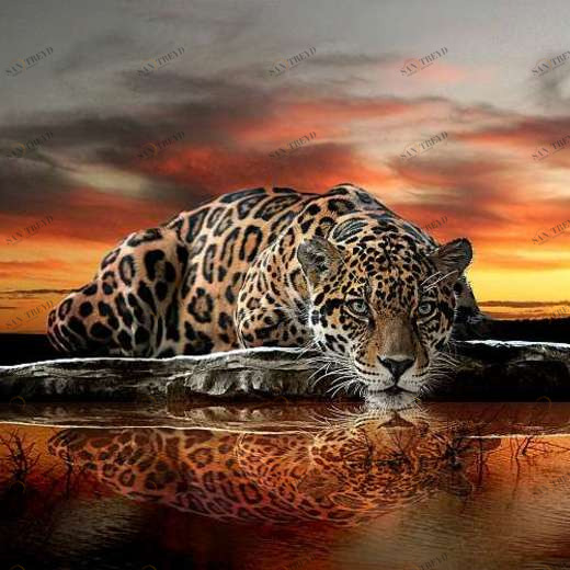 P-013 Фотообои DIVINO L&P 2х1.47 м P013