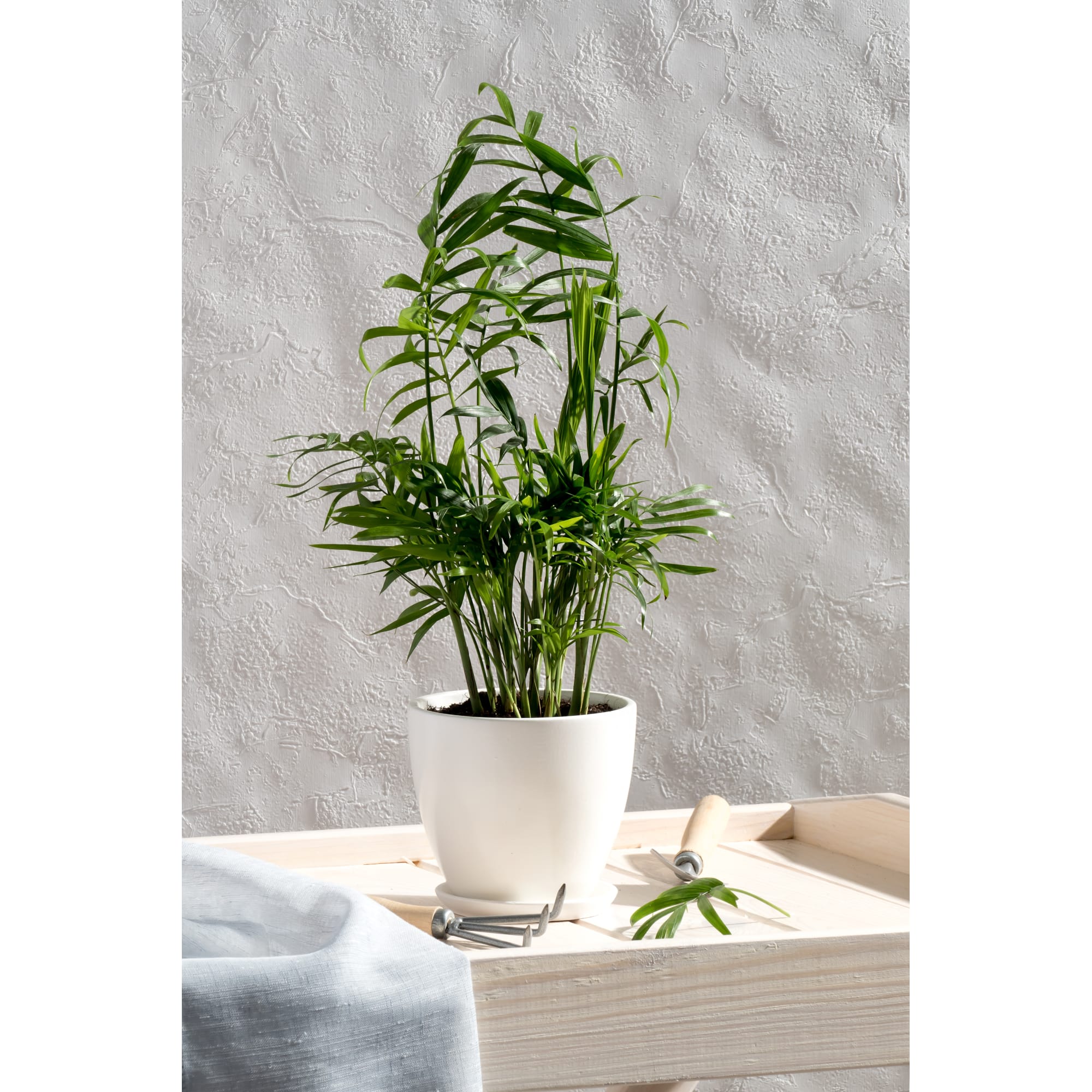 18875526 Горшок цветочный ø12 h11 см v0.8 л керамика белый Колор гейм Santreyd  - Вид №3