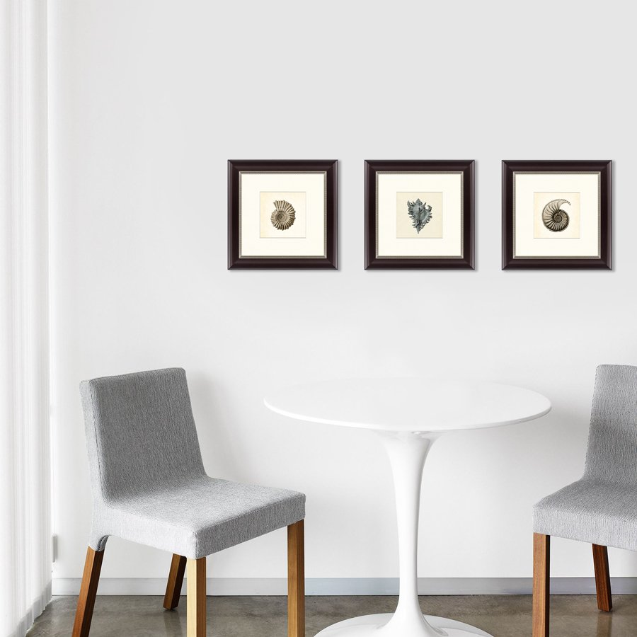 Картина в раме 35х35 см "Морской обитатель №1, 1877г" КАРТИНЫ В КВАРТИРУ  093856 Серый  - Вид №3