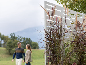 Открытый модульный Frangivista